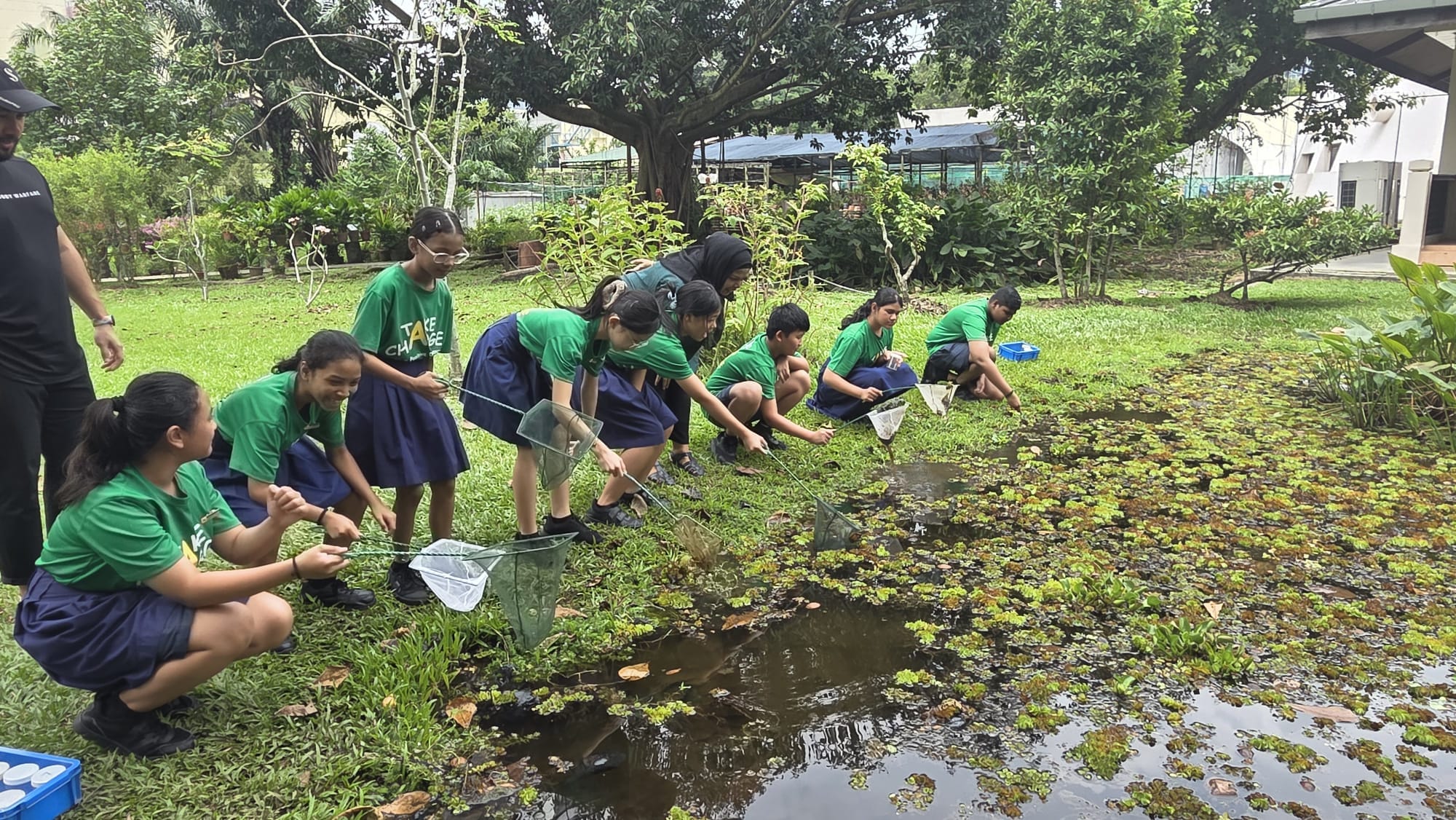 Our students use small nets to collect specimens from a shallow outdoor pond surrounded by grass and trees.